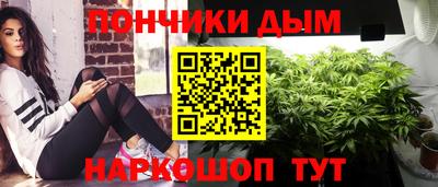 крисы Будённовск