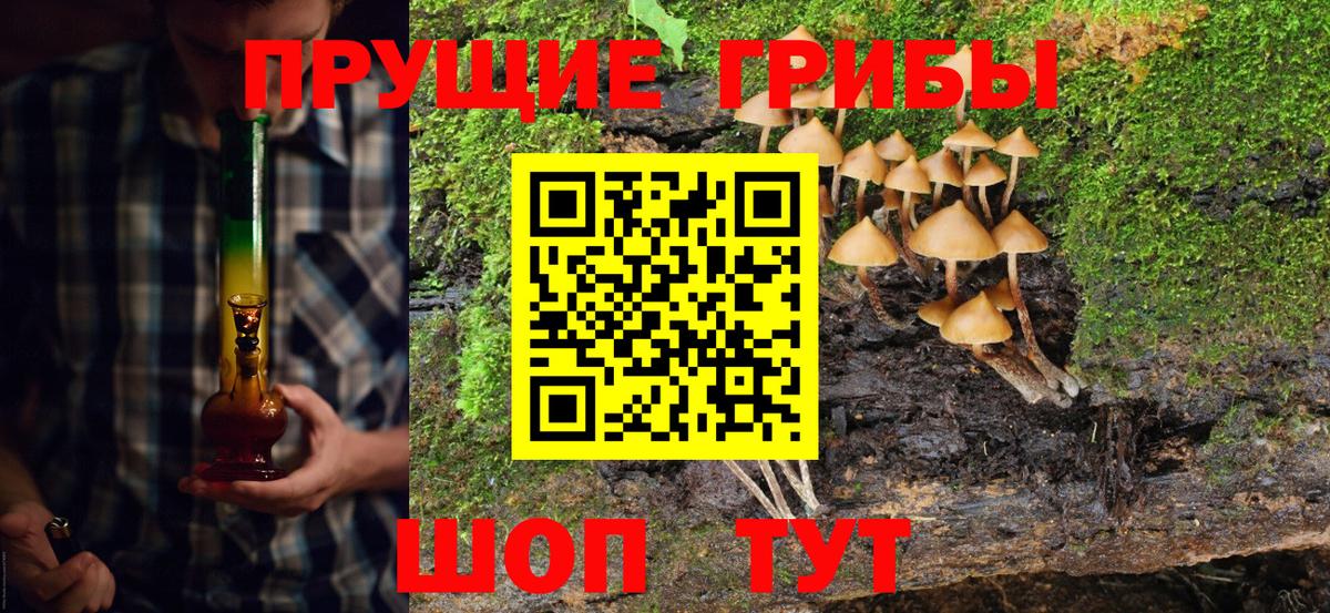 Галлюциногенные грибы Magic Shrooms  Псилоцибиновые грибы Psilocybine cubensis  Тверь  Вход с VPN 